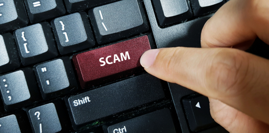 Lessons from the Front Line: Scam Cases Through the Eyes of a Police Officer