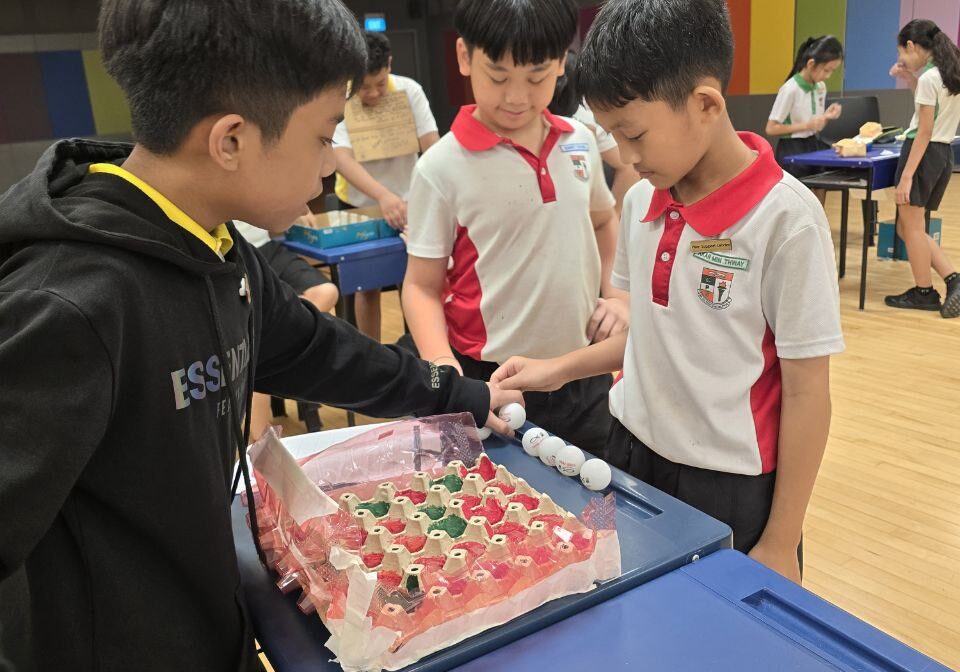 Corporation Primary 2